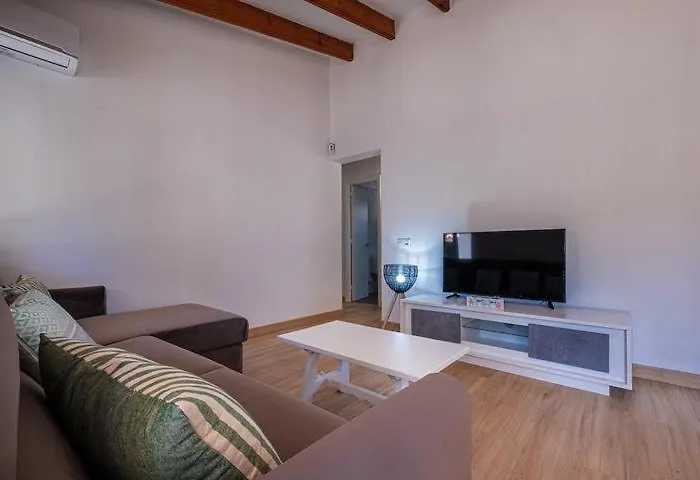 Sol Del Sur 15 ソン・ショリゲル